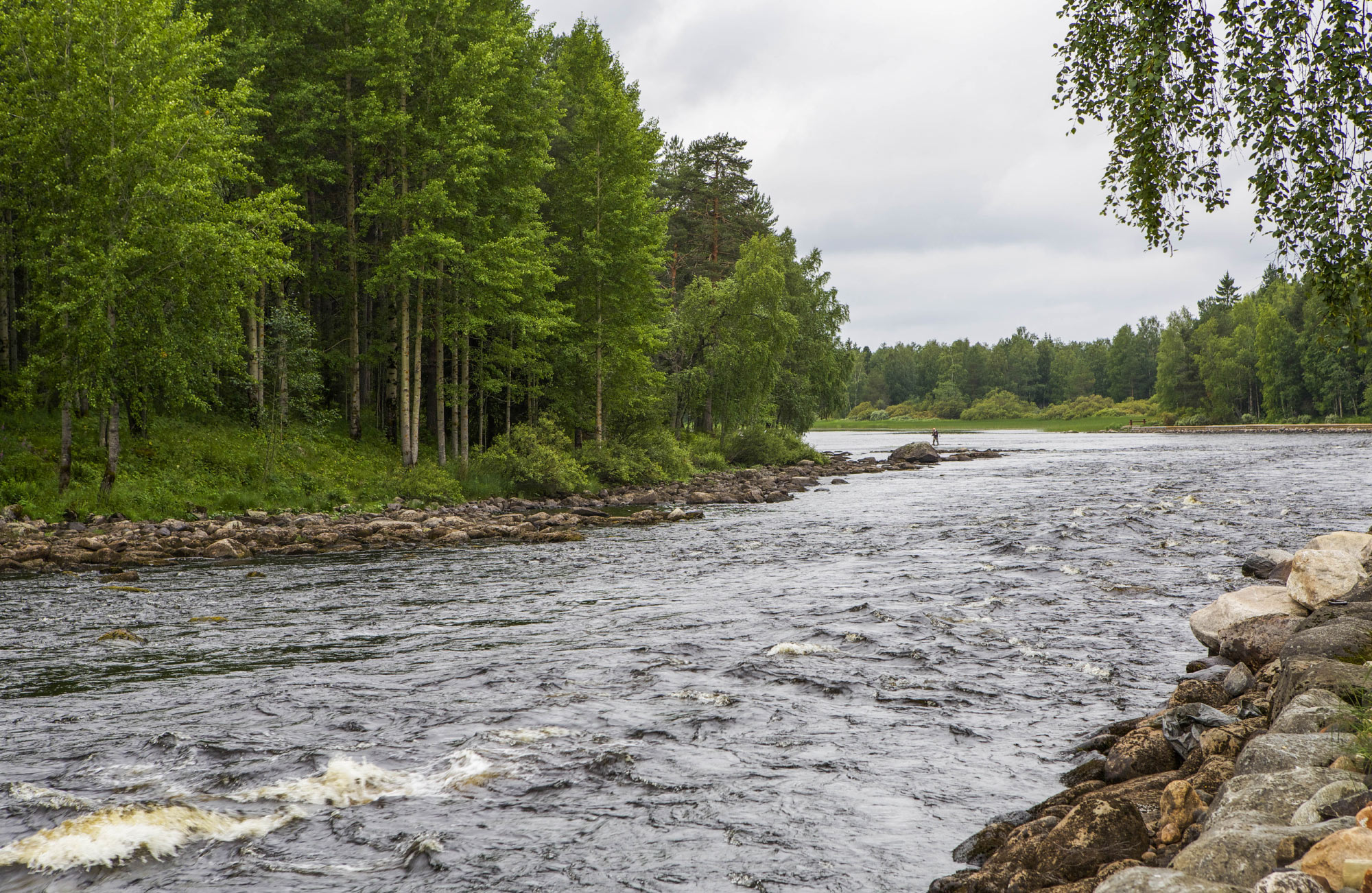 Kuhmo